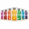 Boisson Boléro (Pack Multi-Gout 10 Sachets)