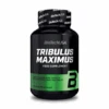 Tribulus Maximus