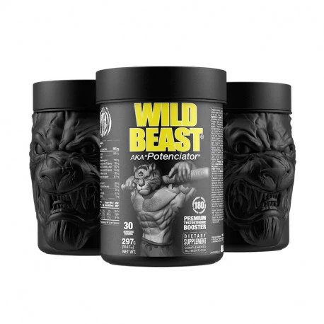 Wild Beast Testo 1 Wild Beast Testo